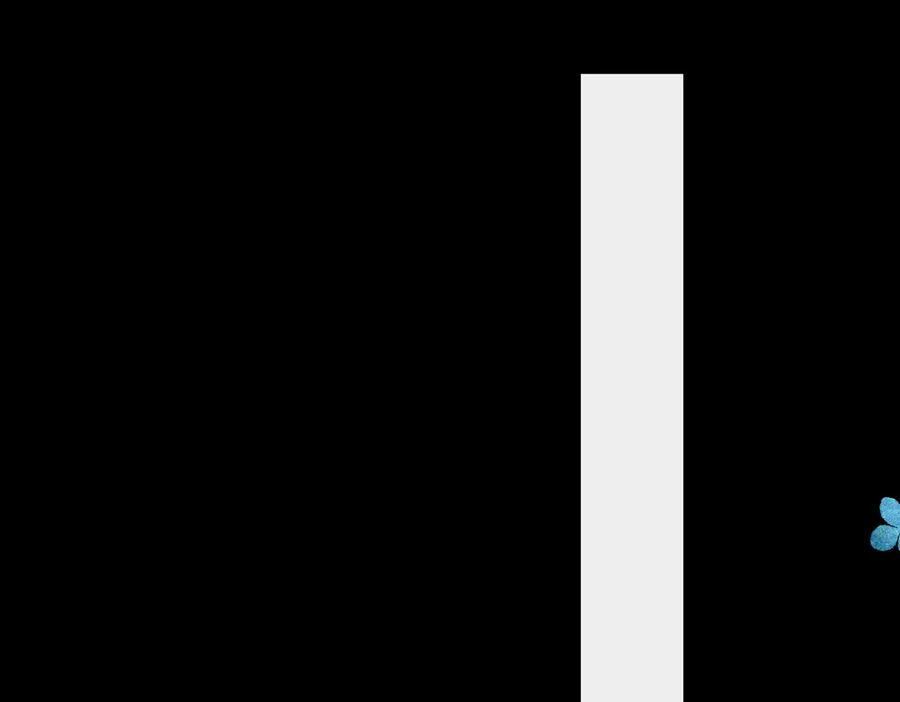 86.jpg