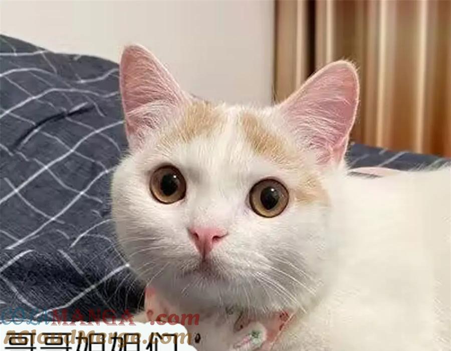 73.jpg