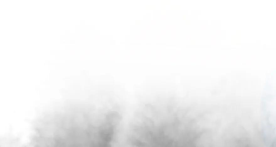85.jpg