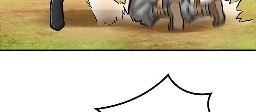 47.jpg