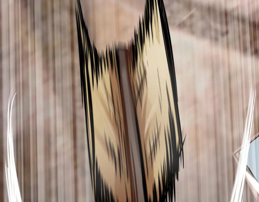 67.jpg