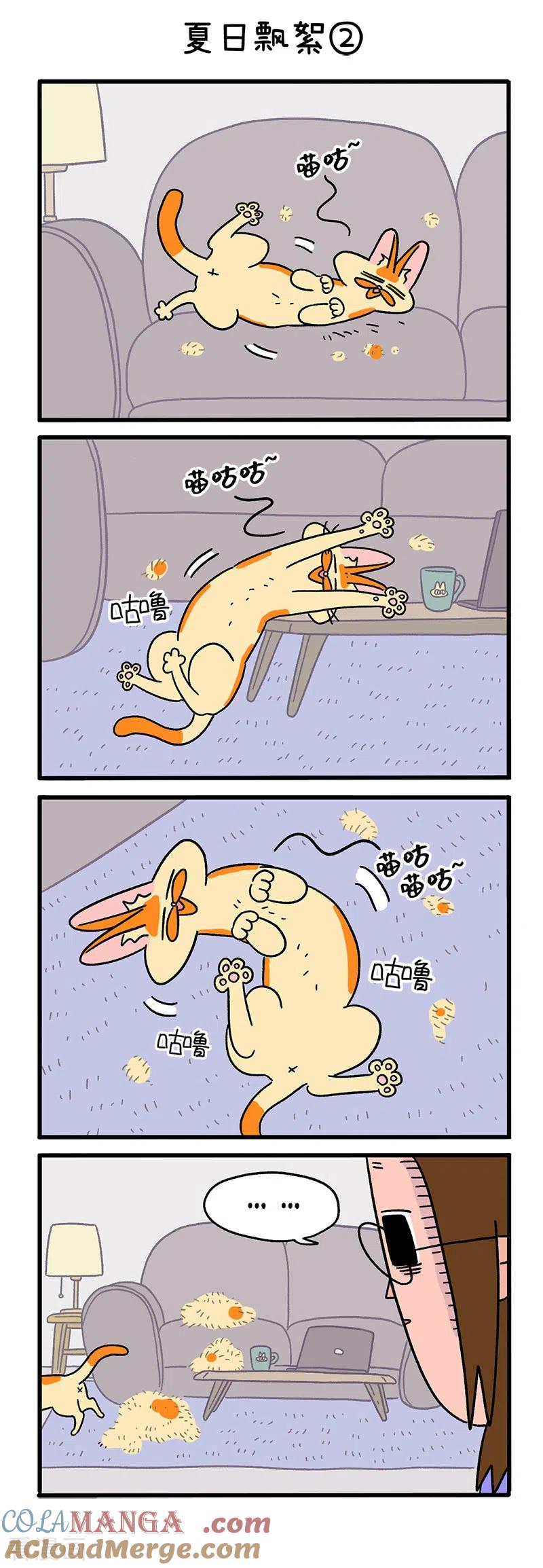 第24话1夏日飘絮-阿满和麦茶-新漫画 日胖大海寺（第3张）