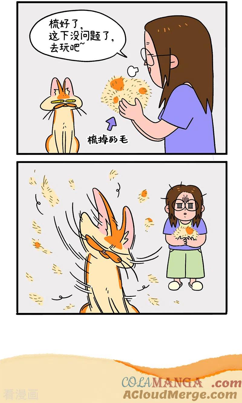 第24话1夏日飘絮-阿满和麦茶-新漫画 日胖大海寺（第5张）