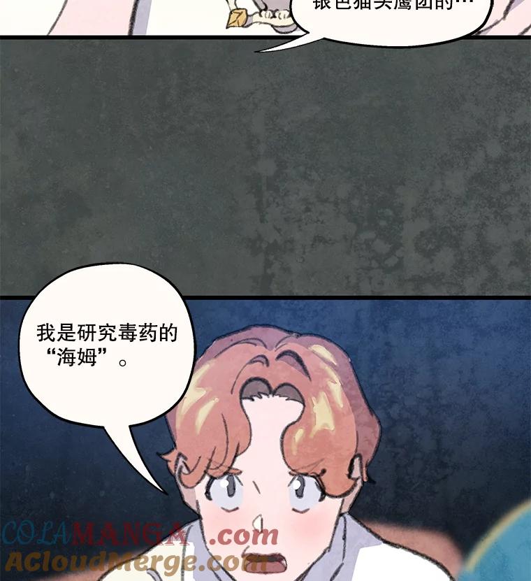 85.jpg
