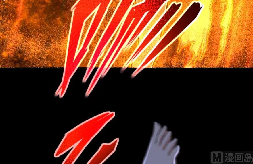 195.jpg
