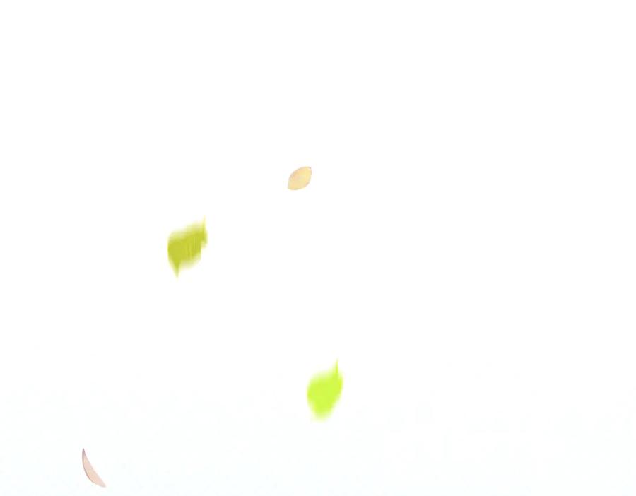 119.jpg