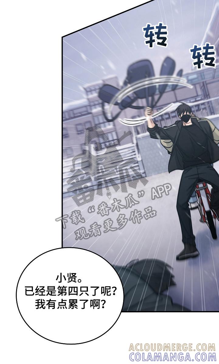 第117章：【第二季】抱怨-被男人掌控生死-PImane（第15张）