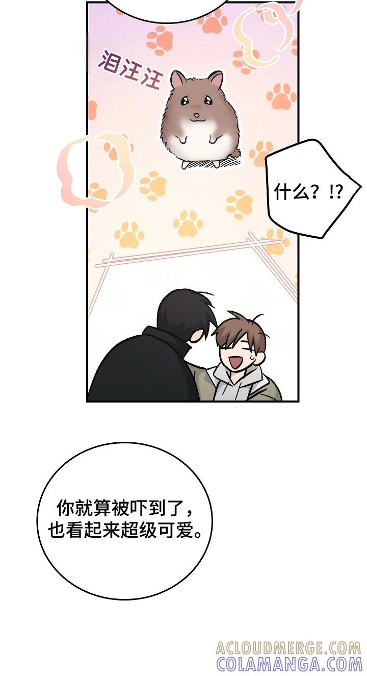 第122章：【第二季】很重要的人-被男人掌控生死-PImane（第17张）