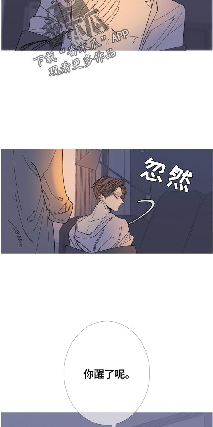 第155章：【第二季】为什么装作不知道-鬼门关-MEL（第14张）