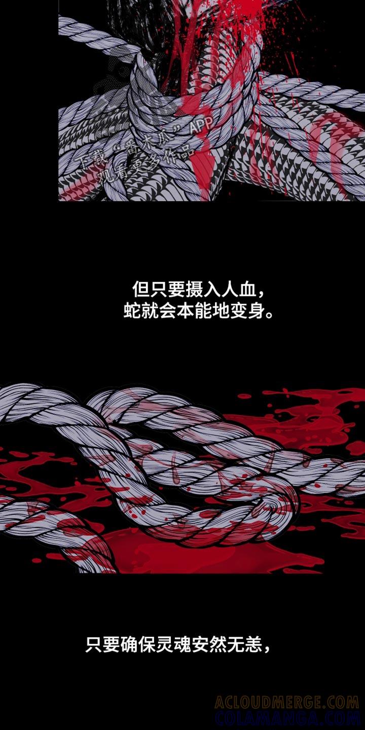 第164章：【第二季完结】不愿意想起来-鬼门关-MEL（第17张）