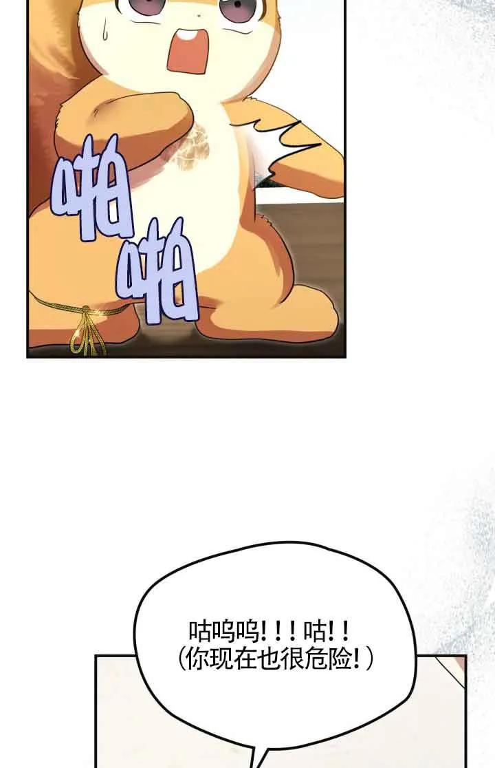 51.jpg