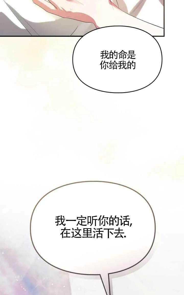 95.jpg