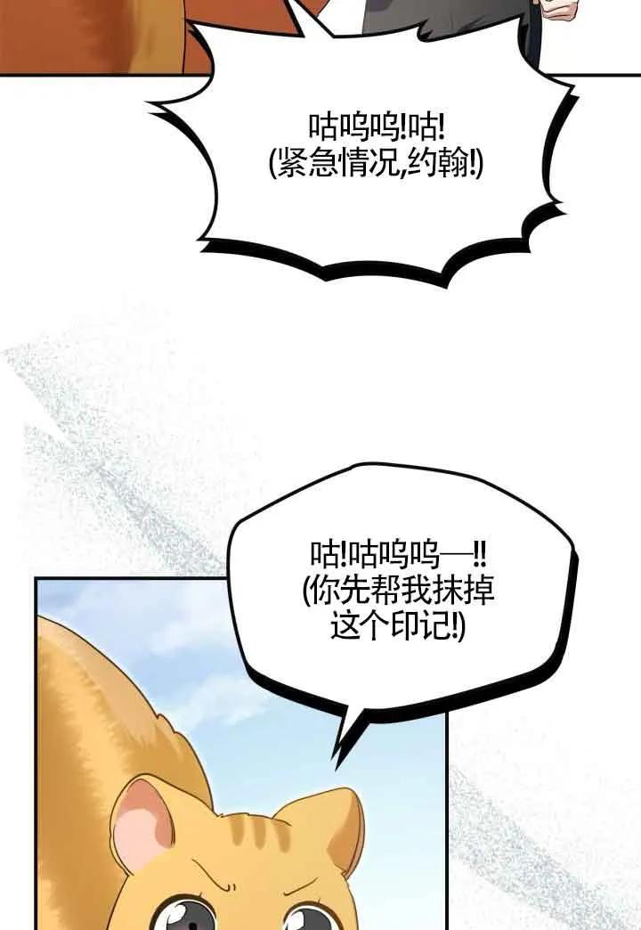 50.jpg