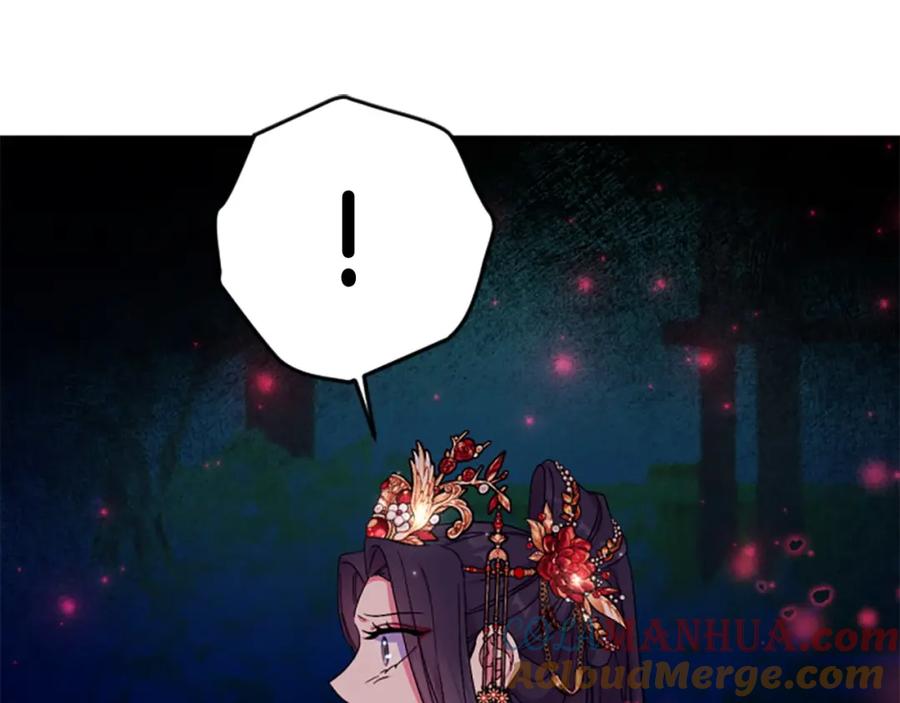 113.jpg