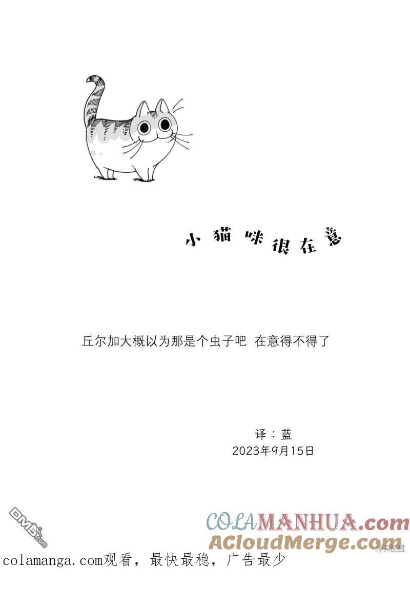 第184话-关于养猫我一直是新手-キュルZ（第3张）