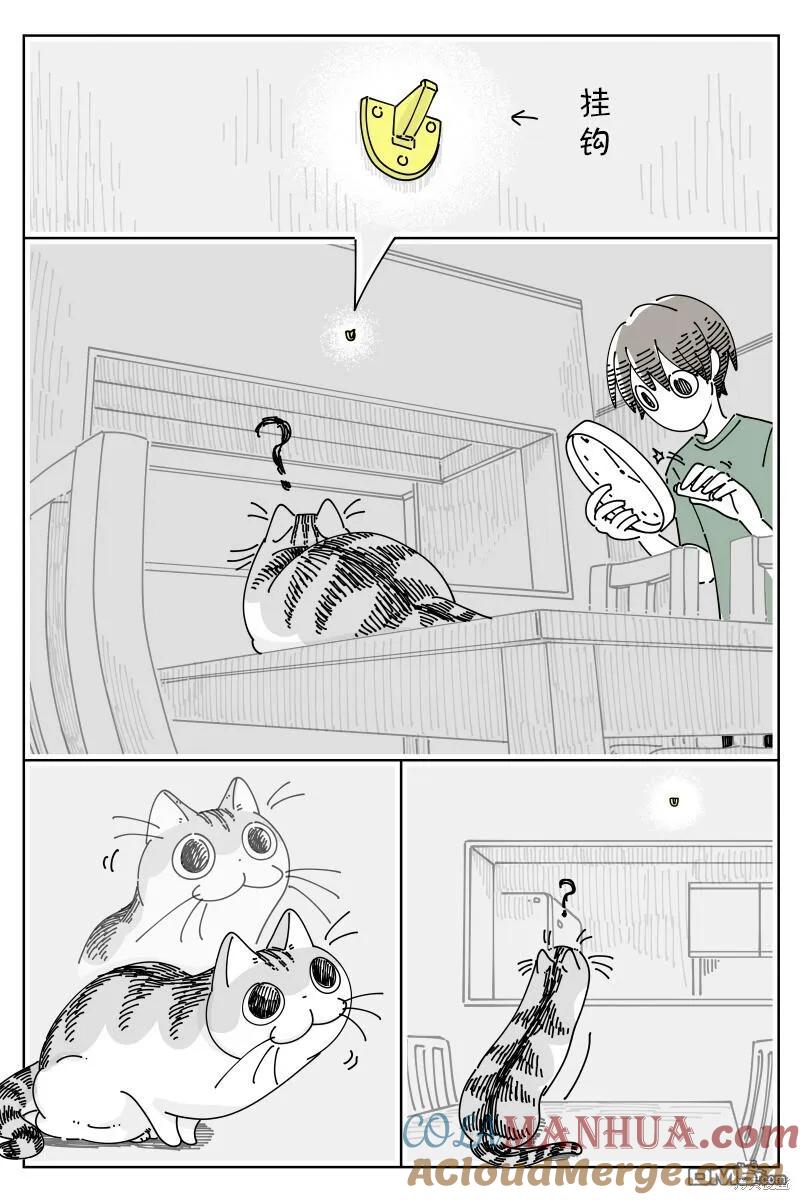 第184话-关于养猫我一直是新手-キュルZ（第1张）