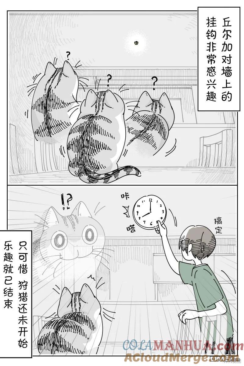 第184话-关于养猫我一直是新手-キュルZ（第2张）