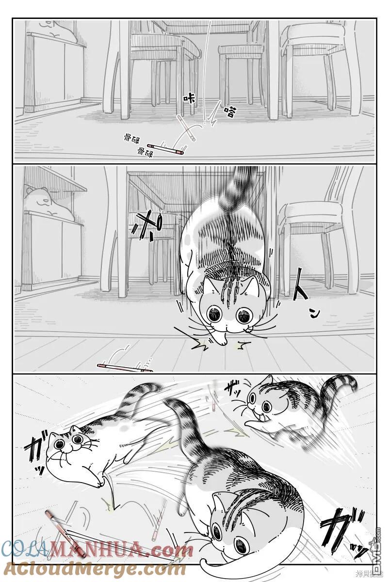 第189话-关于养猫我一直是新手-キュルZ（第1张）