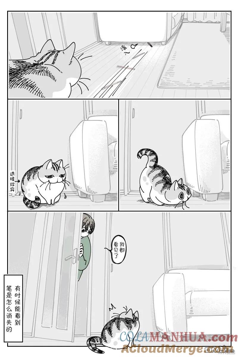 第189话-关于养猫我一直是新手-キュルZ（第2张）