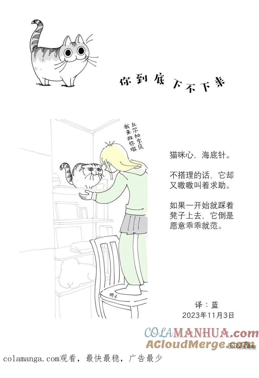第190话-关于养猫我一直是新手-キュルZ（第3张）