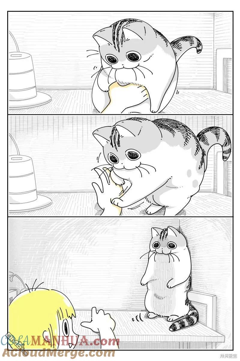 第190话-关于养猫我一直是新手-キュルZ（第1张）