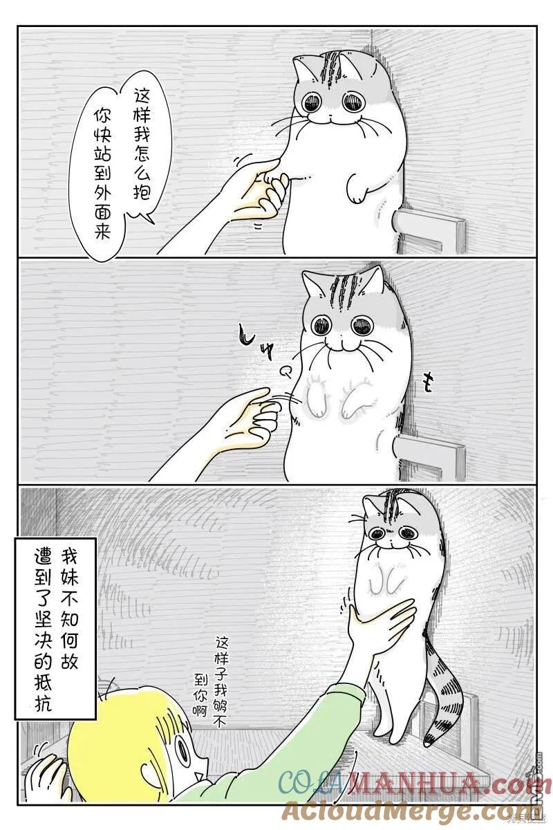 第190话-关于养猫我一直是新手-キュルZ（第2张）