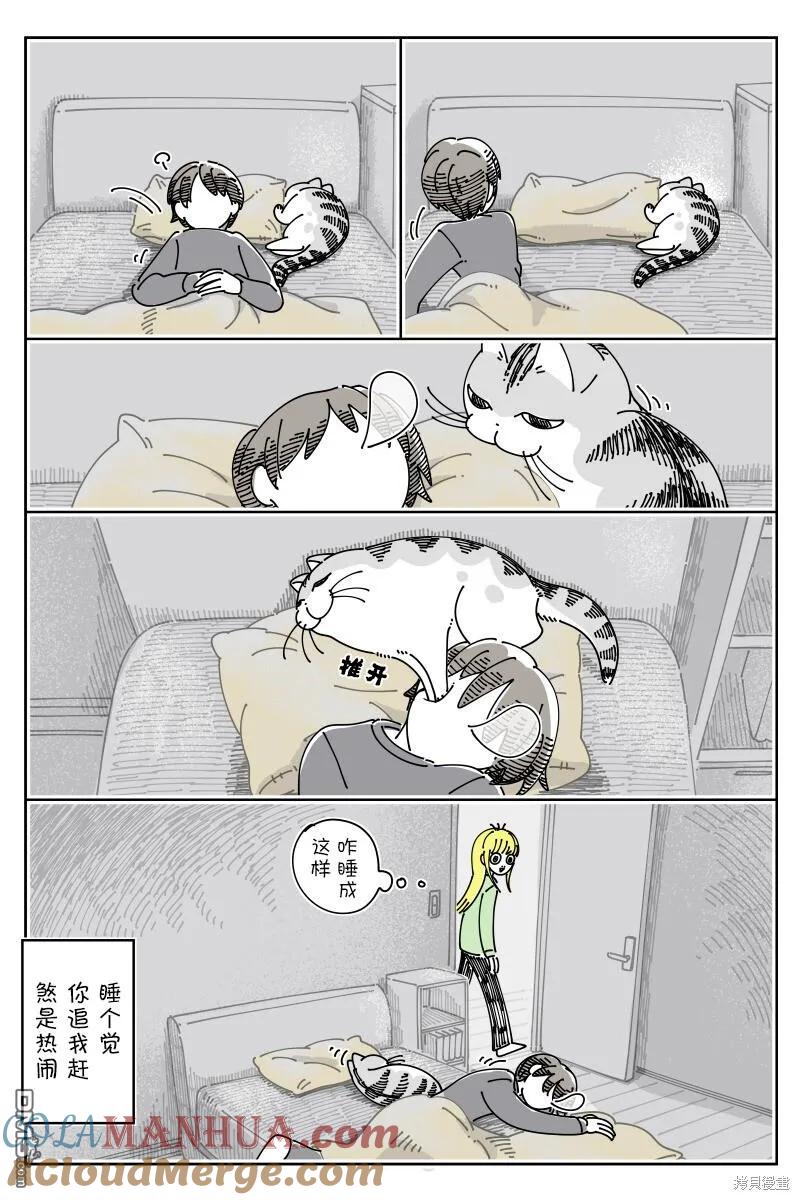 第191话-关于养猫我一直是新手-キュルZ（第2张）