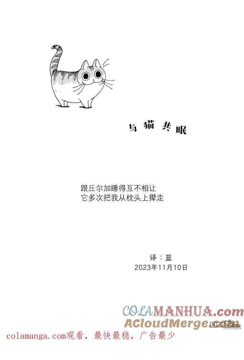 第191话-关于养猫我一直是新手-キュルZ（第3张）