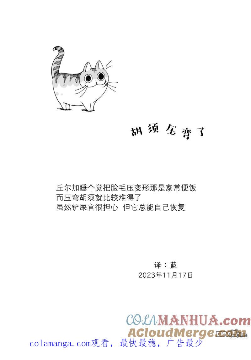 第192话-关于养猫我一直是新手-キュルZ（第3张）