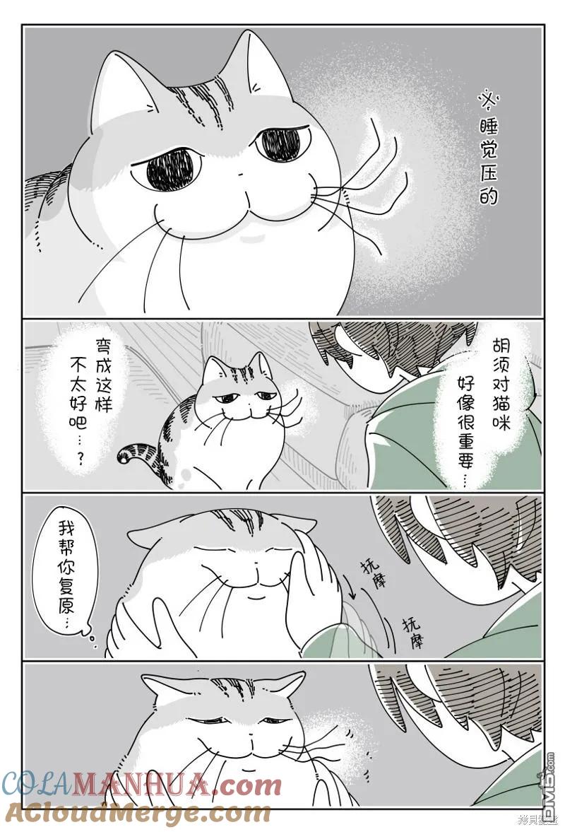 第192话-关于养猫我一直是新手-キュルZ（第1张）
