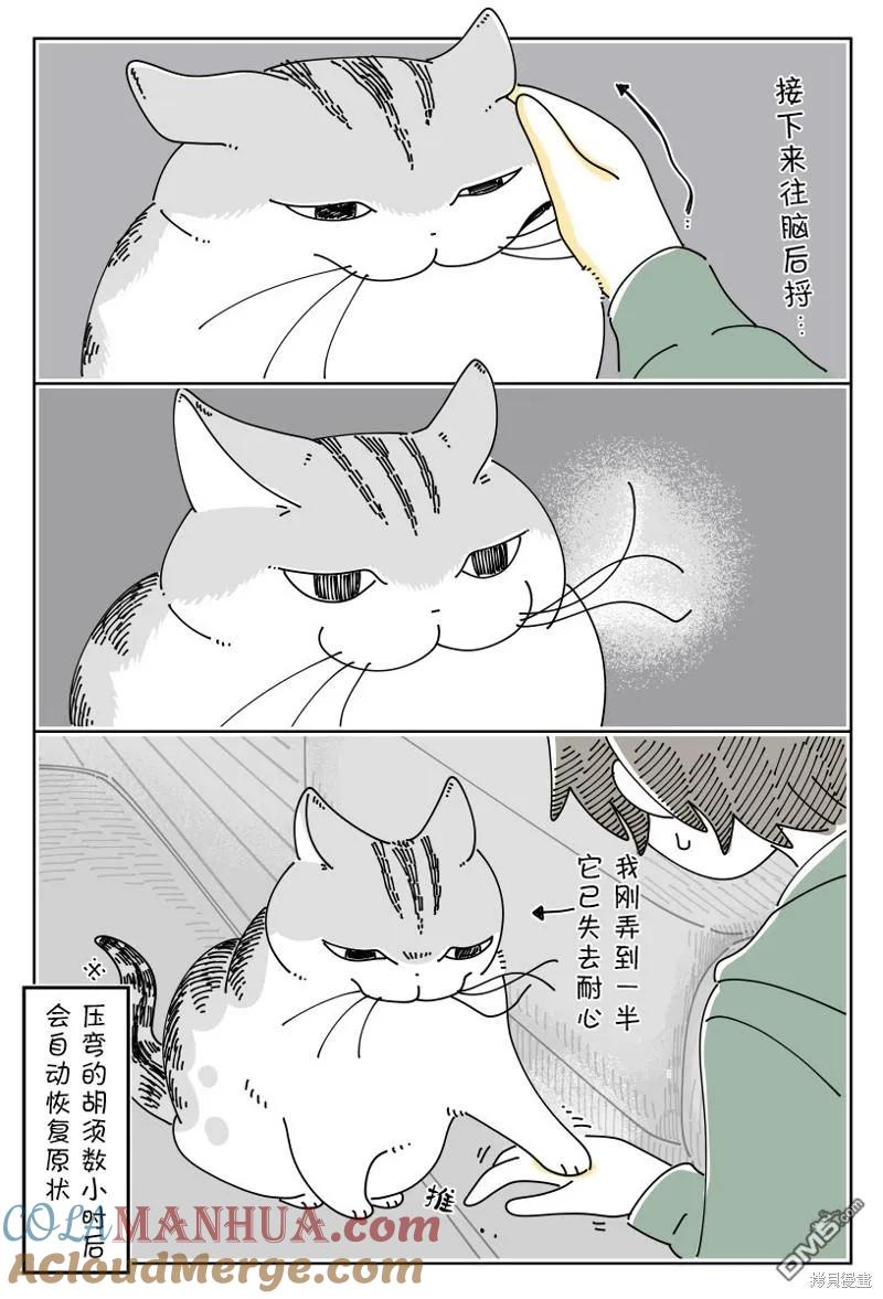 第192话-关于养猫我一直是新手-キュルZ（第2张）