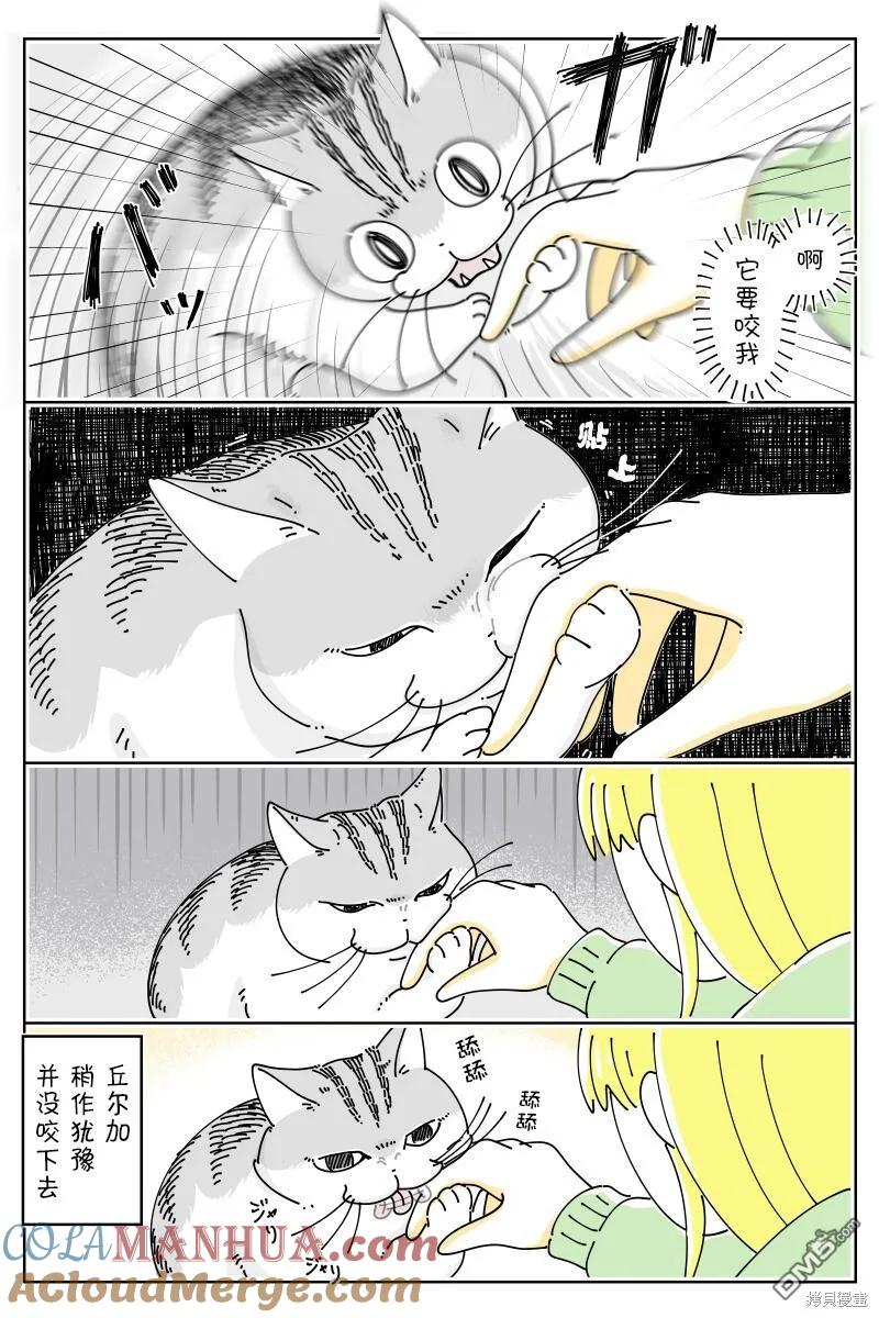 第193话-关于养猫我一直是新手-キュルZ（第2张）