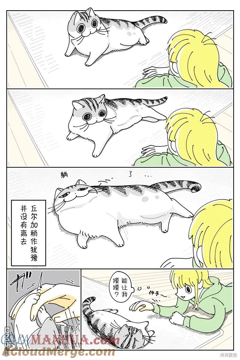 第193话-关于养猫我一直是新手-キュルZ（第1张）