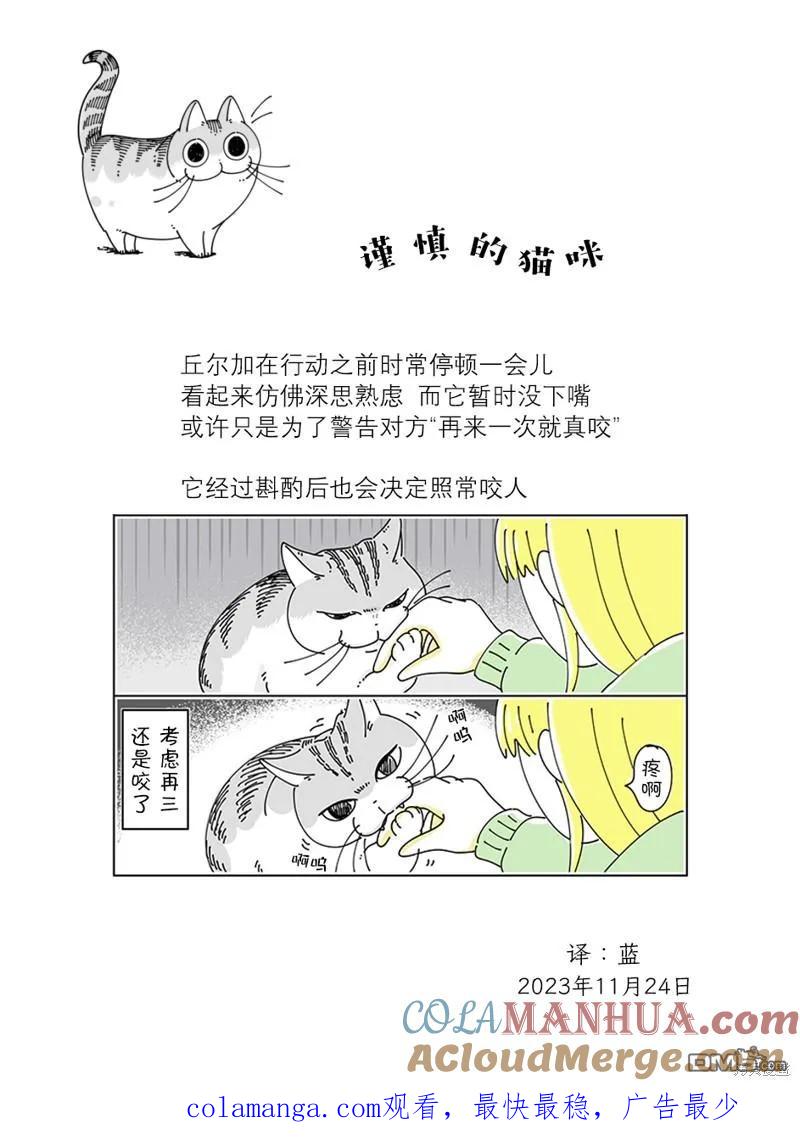 第193话-关于养猫我一直是新手-キュルZ（第3张）