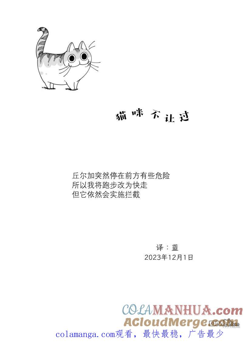 第194话-关于养猫我一直是新手-キュルZ（第3张）