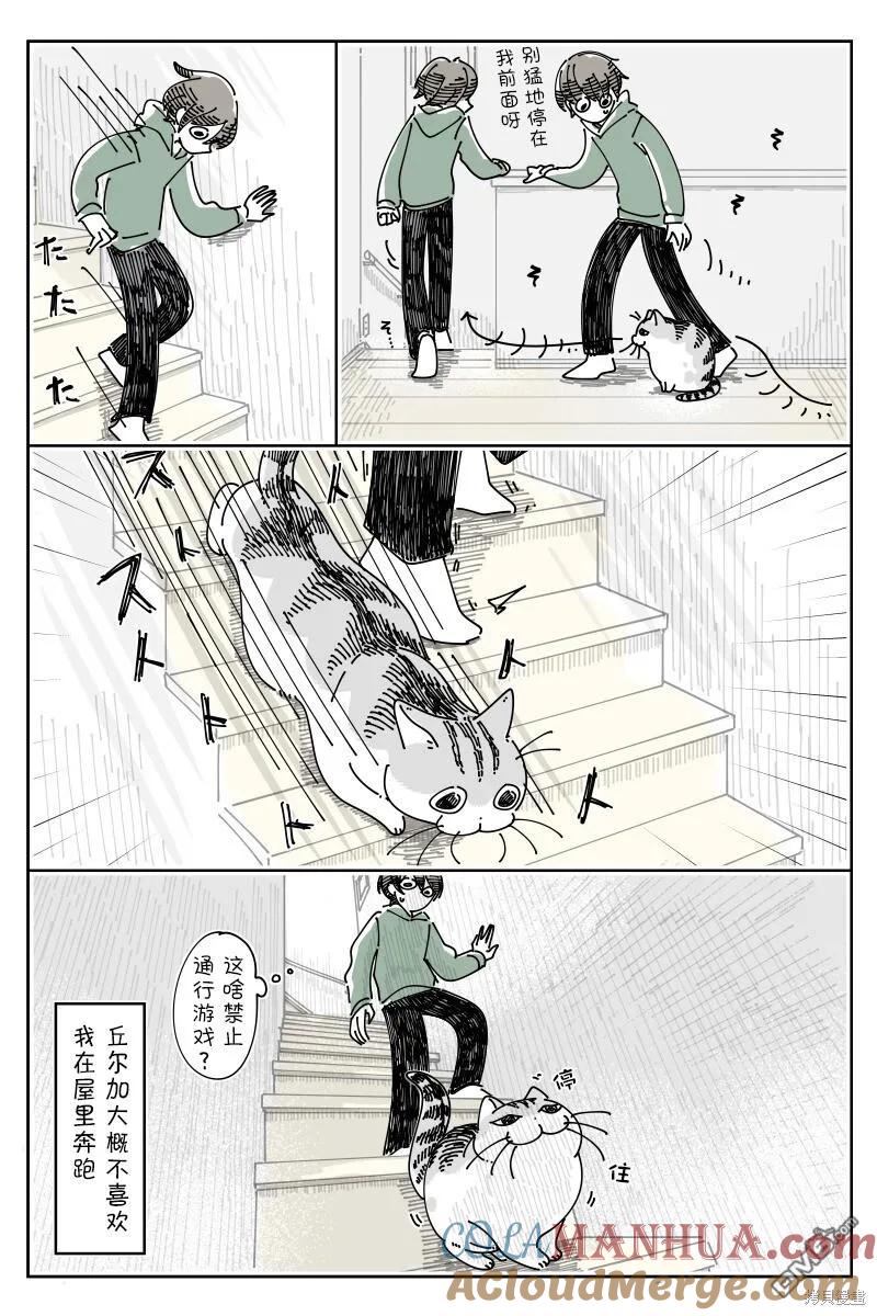 第194话-关于养猫我一直是新手-キュルZ（第2张）
