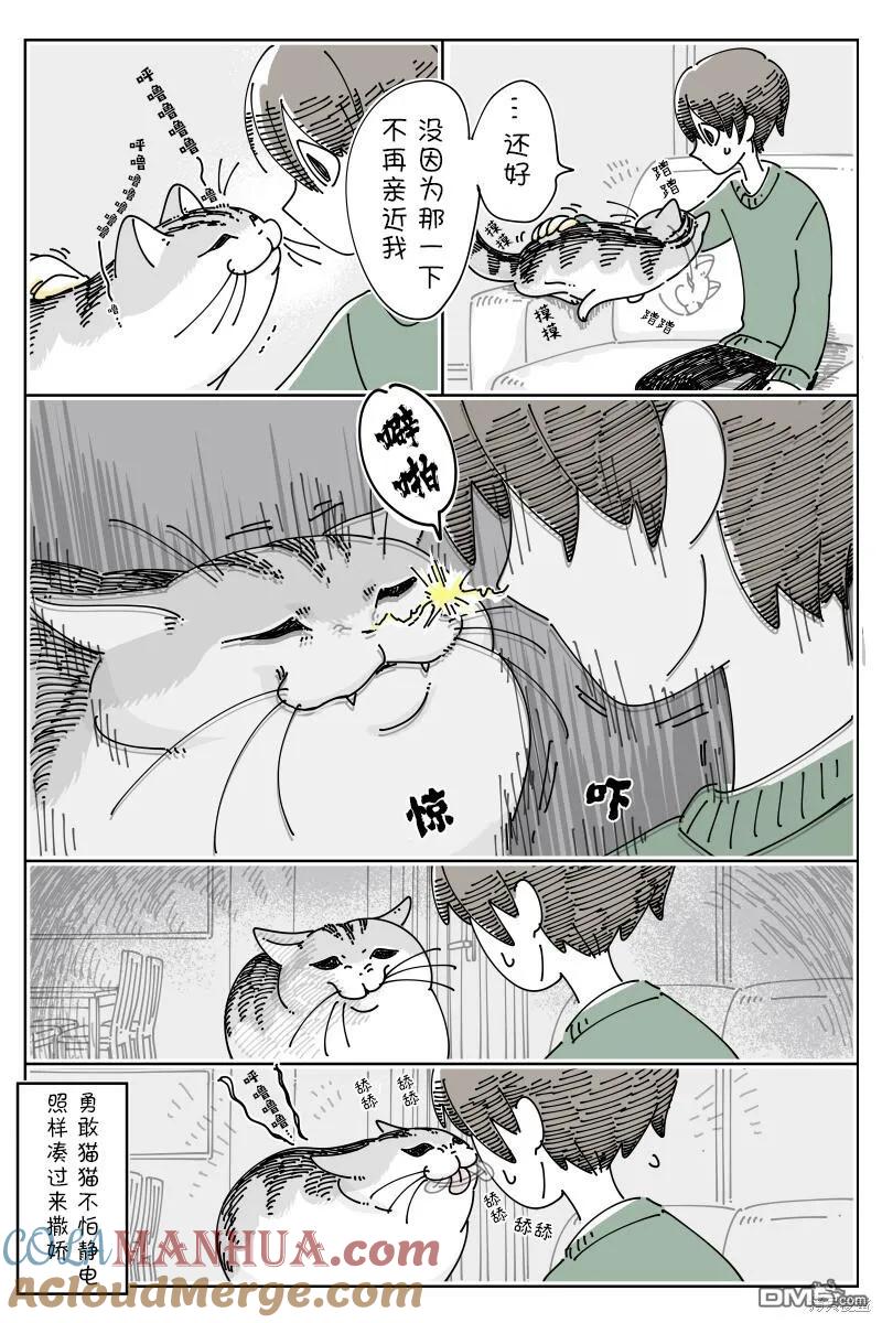第195话-关于养猫我一直是新手-キュルZ（第2张）