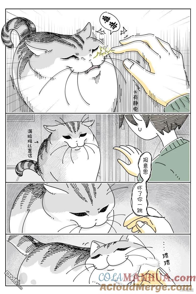 第195话-关于养猫我一直是新手-キュルZ（第1张）