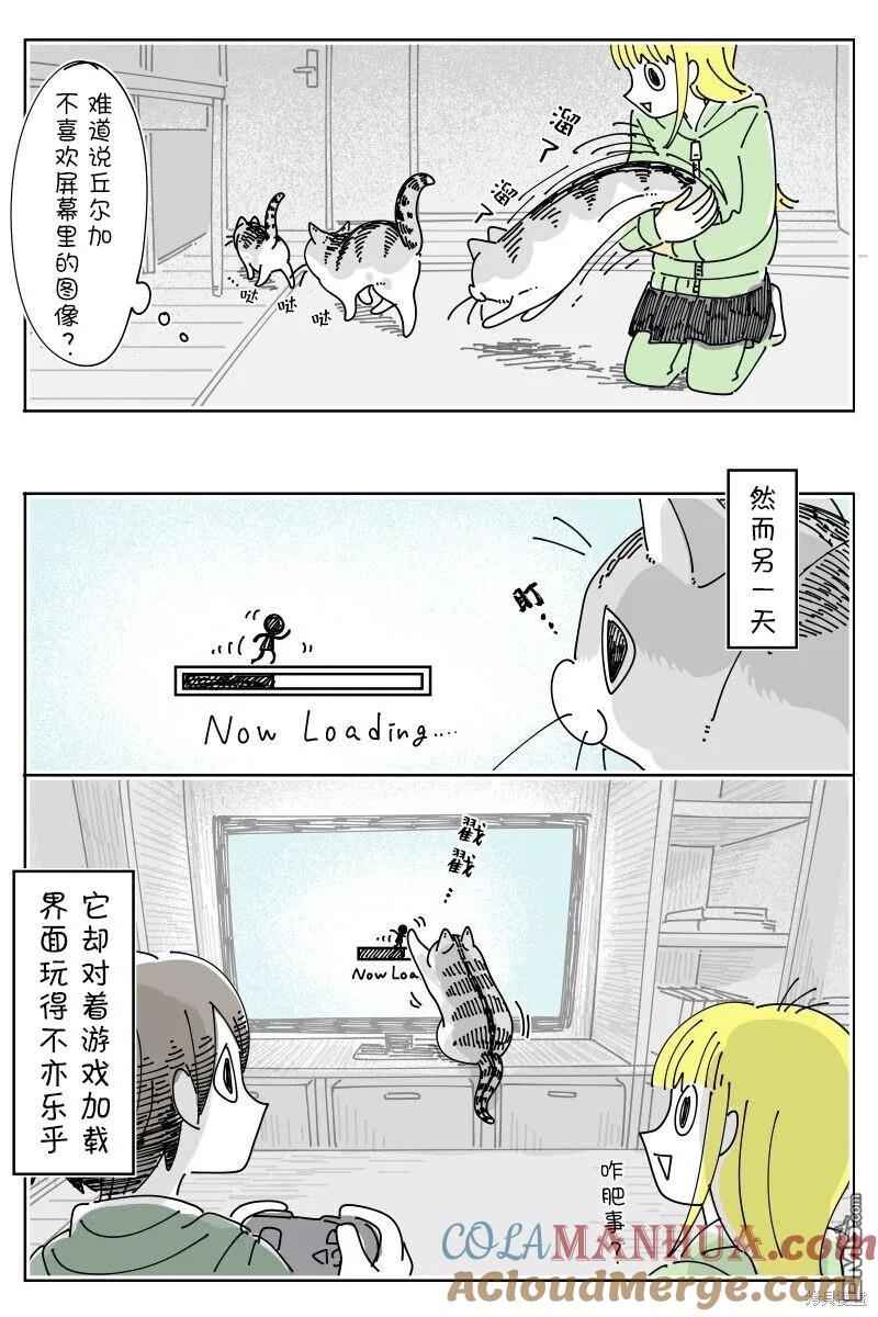 第196话-关于养猫我一直是新手-キュルZ（第3张）