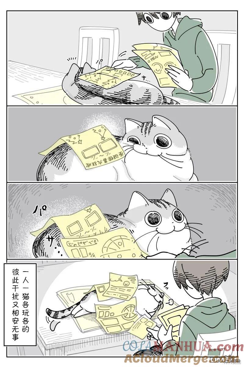 第197话-关于养猫我一直是新手-キュルZ（第2张）