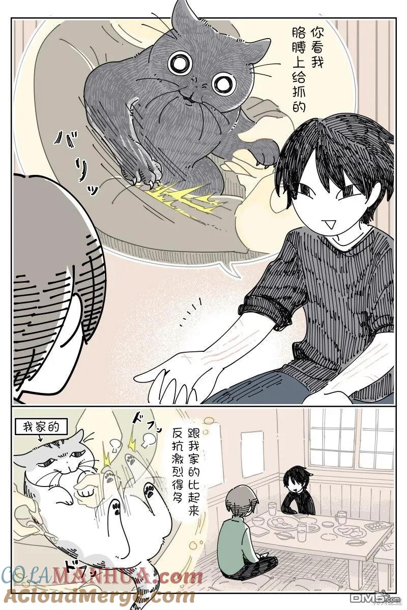 第198话-关于养猫我一直是新手-キュルZ（第1张）