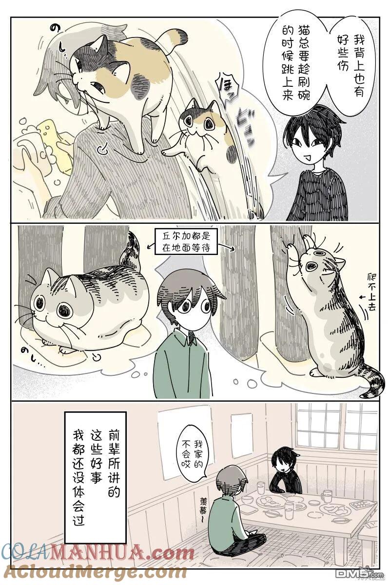 第198话-关于养猫我一直是新手-キュルZ（第2张）