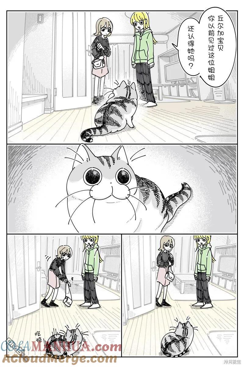 第199话-关于养猫我一直是新手-キュルZ（第1张）