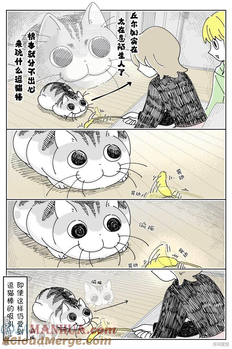 第200话-关于养猫我一直是新手-キュルZ（第2张）