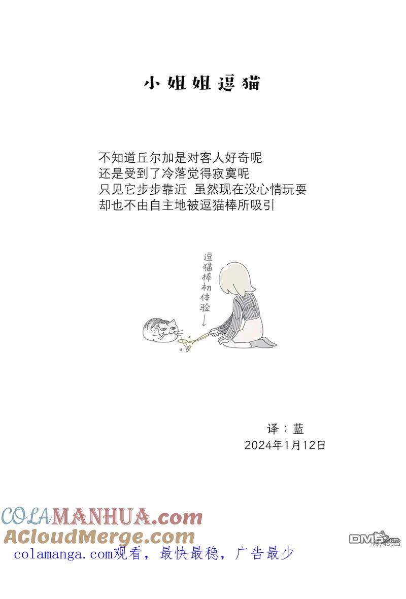 第200话-关于养猫我一直是新手-キュルZ（第3张）