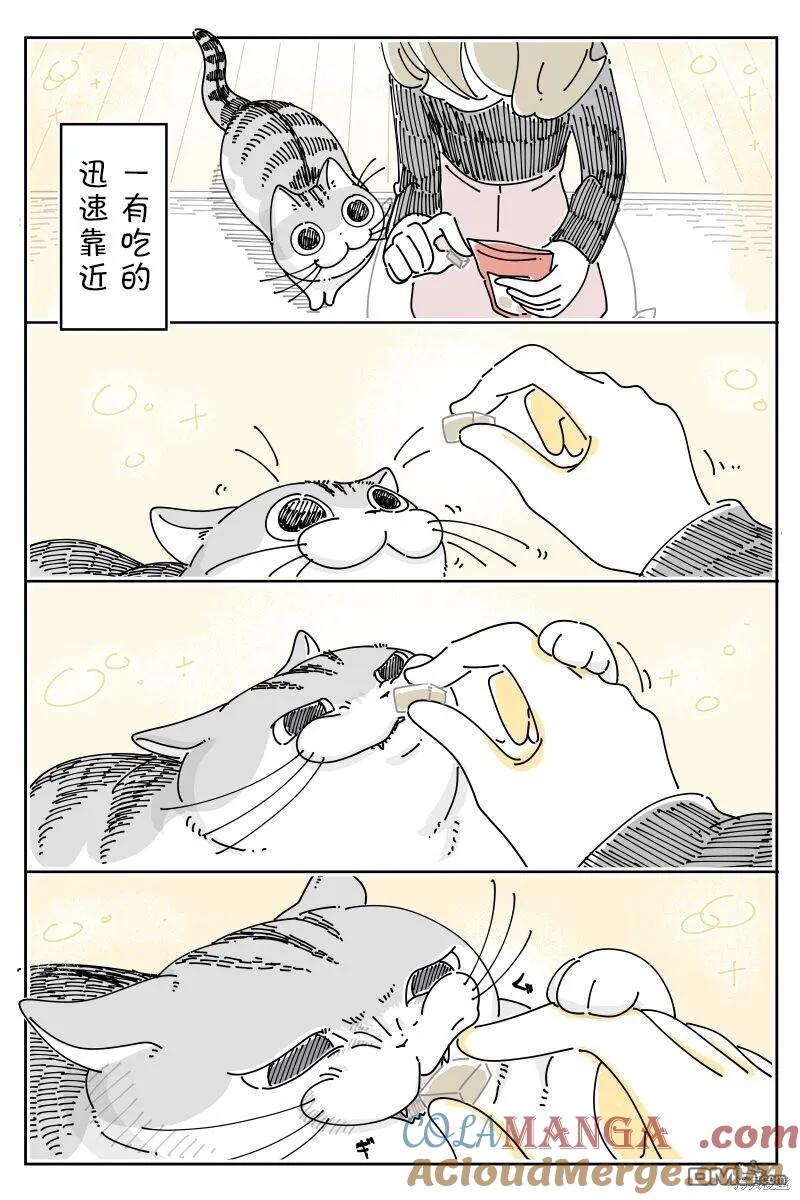 第201话-关于养猫我一直是新手-キュルZ（第1张）