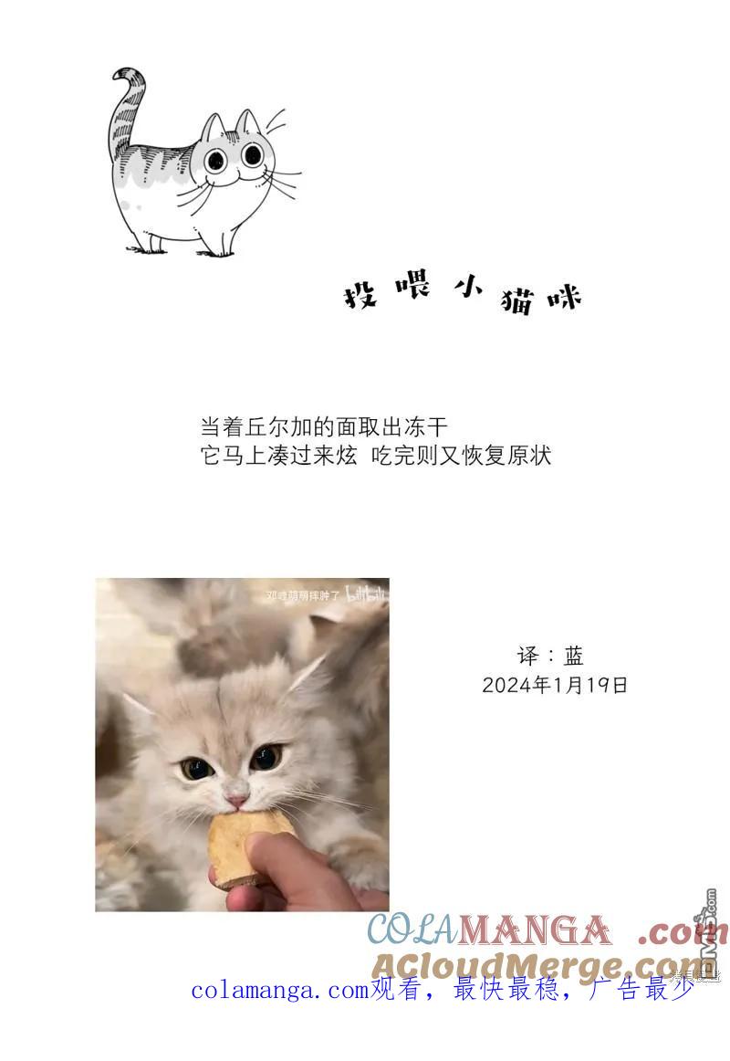 第201话-关于养猫我一直是新手-キュルZ（第3张）