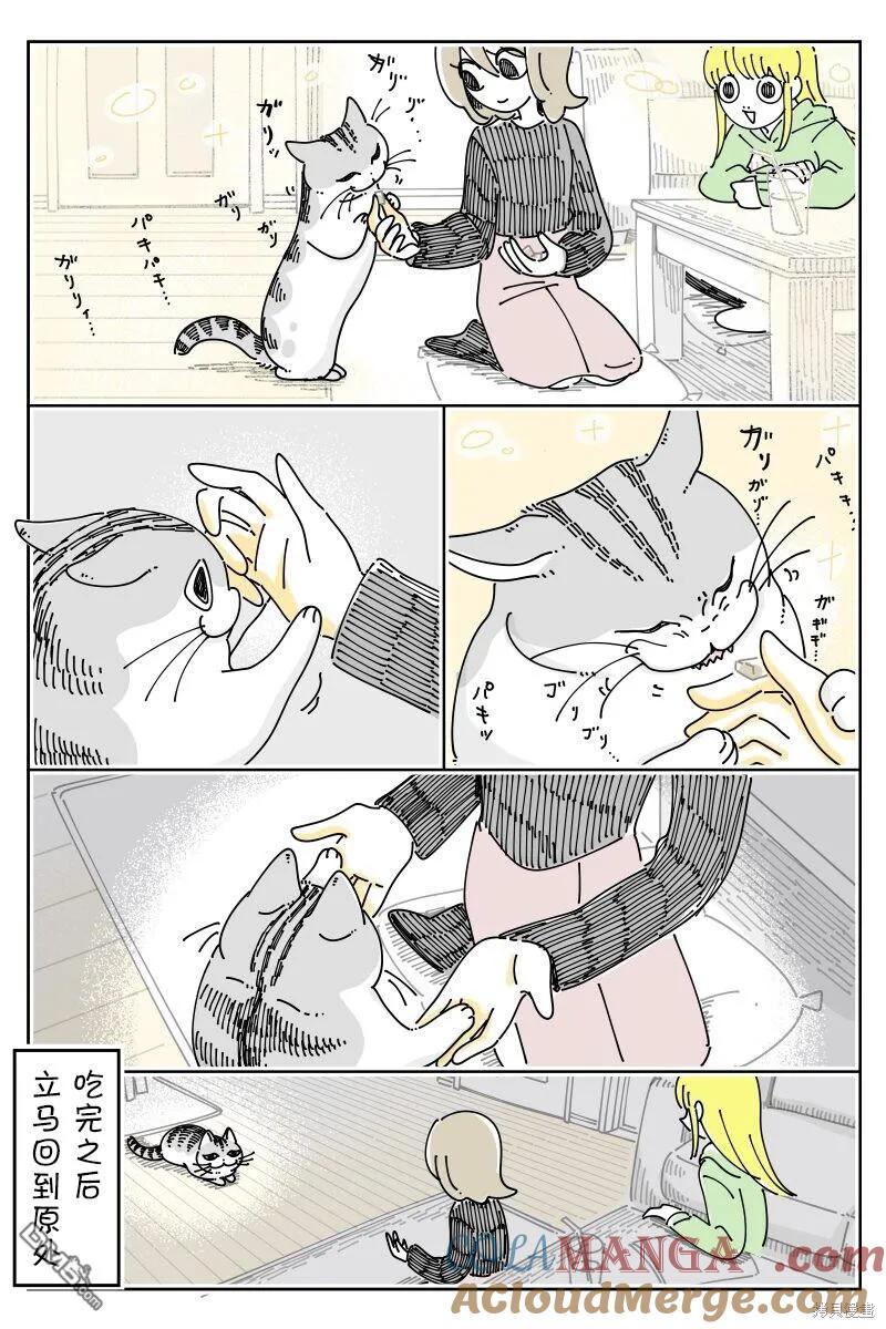 第201话-关于养猫我一直是新手-キュルZ（第2张）