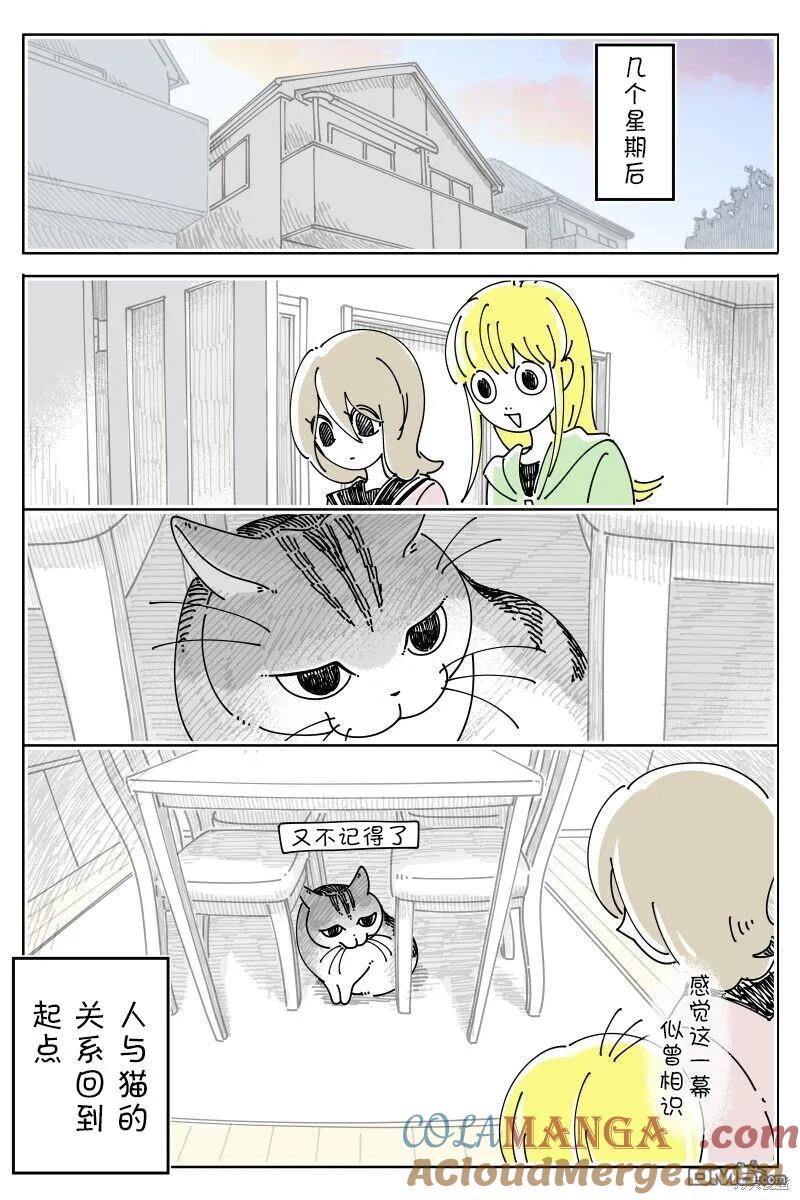 第202话-关于养猫我一直是新手-キュルZ（第2张）
