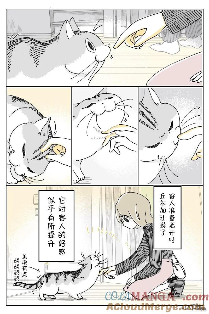第202话-关于养猫我一直是新手-キュルZ（第1张）